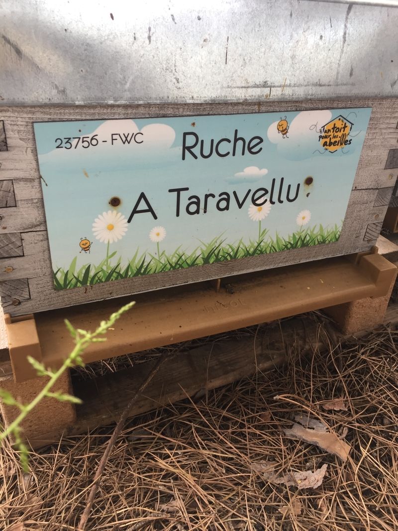 La ruche A Taravellu