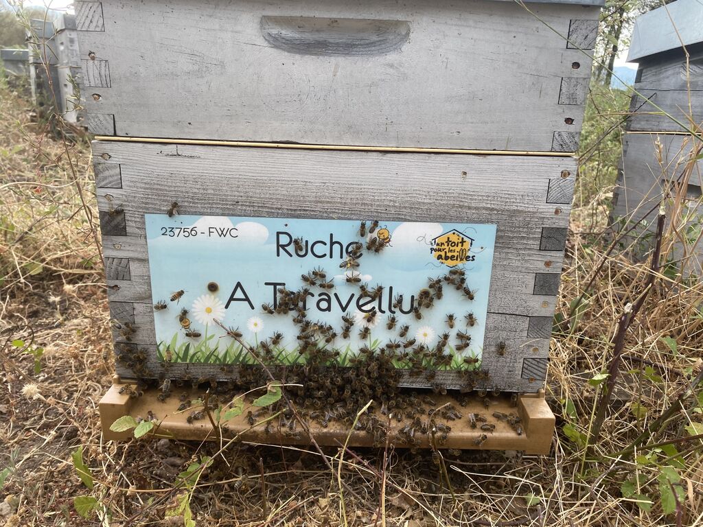 La ruche A Taravellu