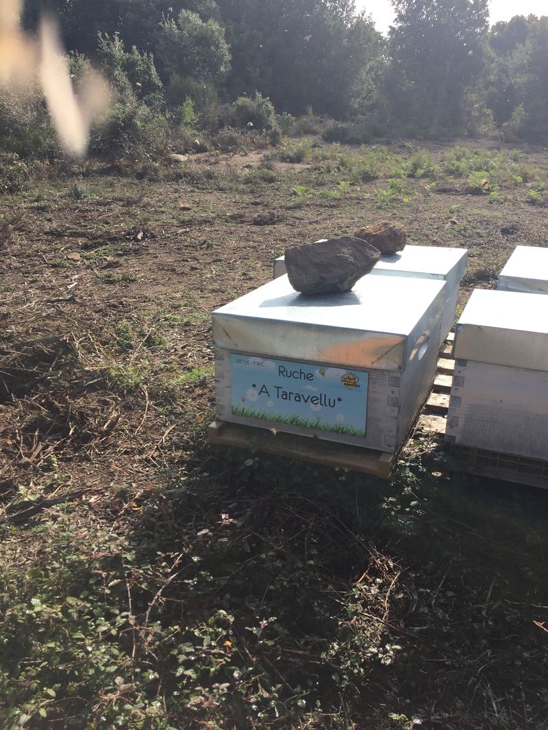 La ruche A Taravellu