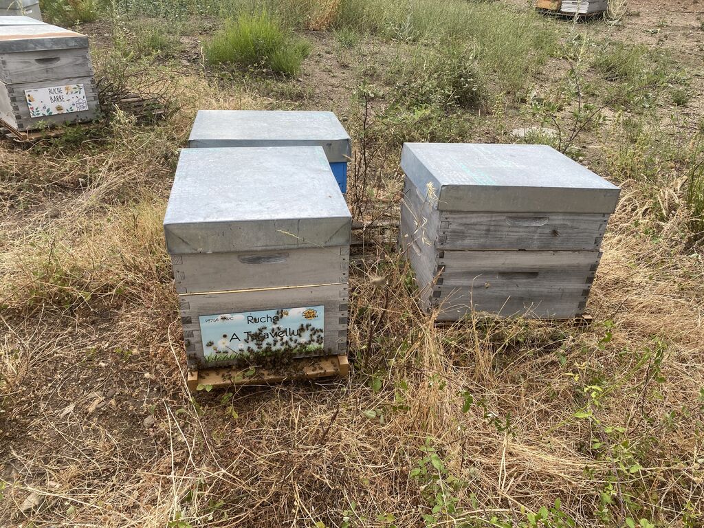 La ruche A Taravellu