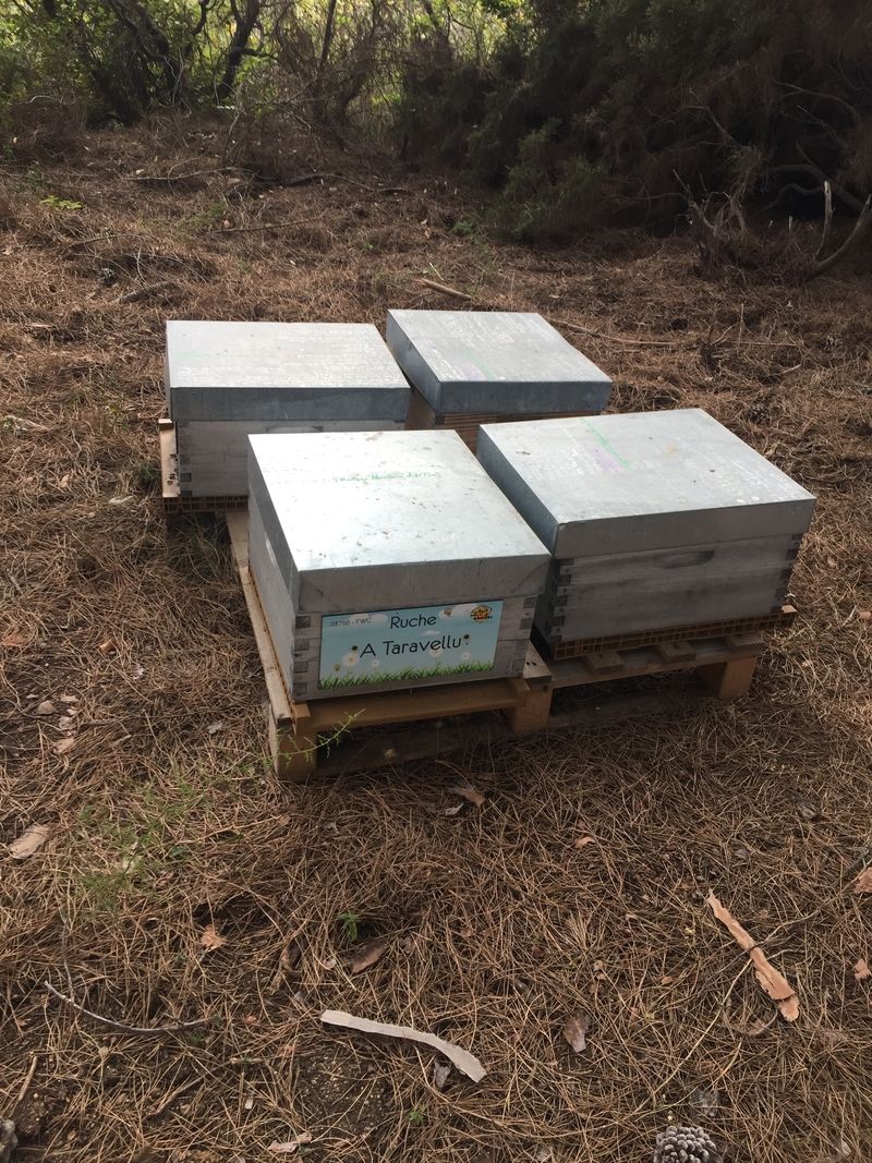 La ruche A Taravellu