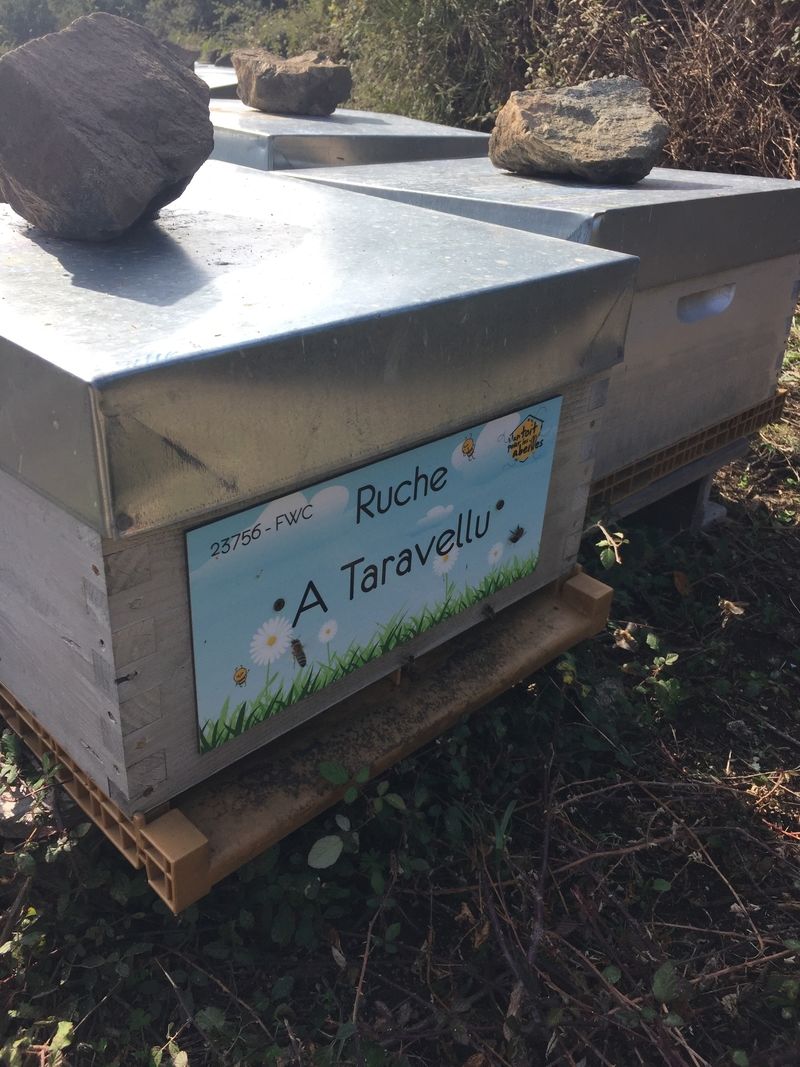 La ruche A Taravellu