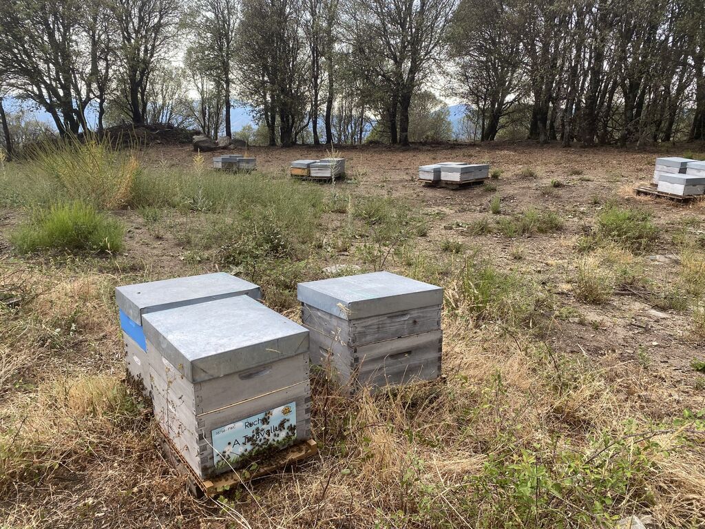 La ruche A Taravellu