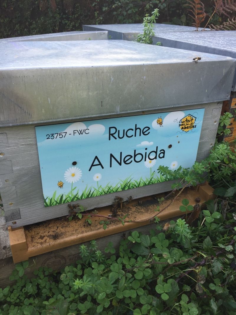 La ruche A Nebida