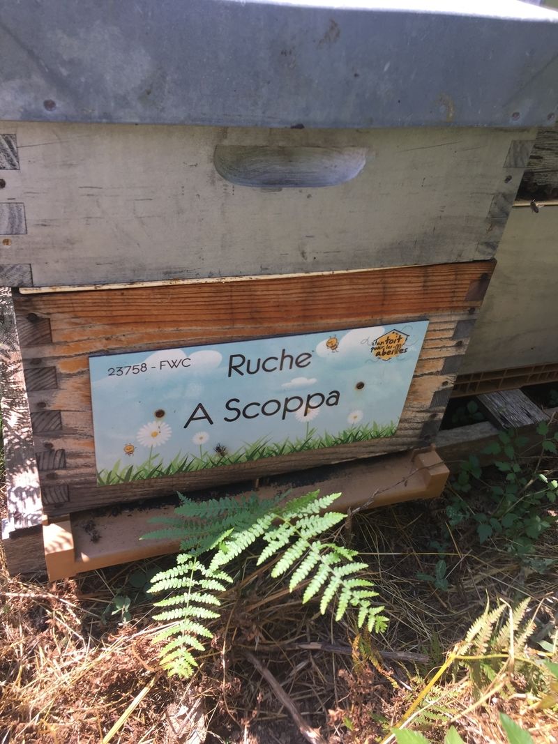 La ruche A Scoppa