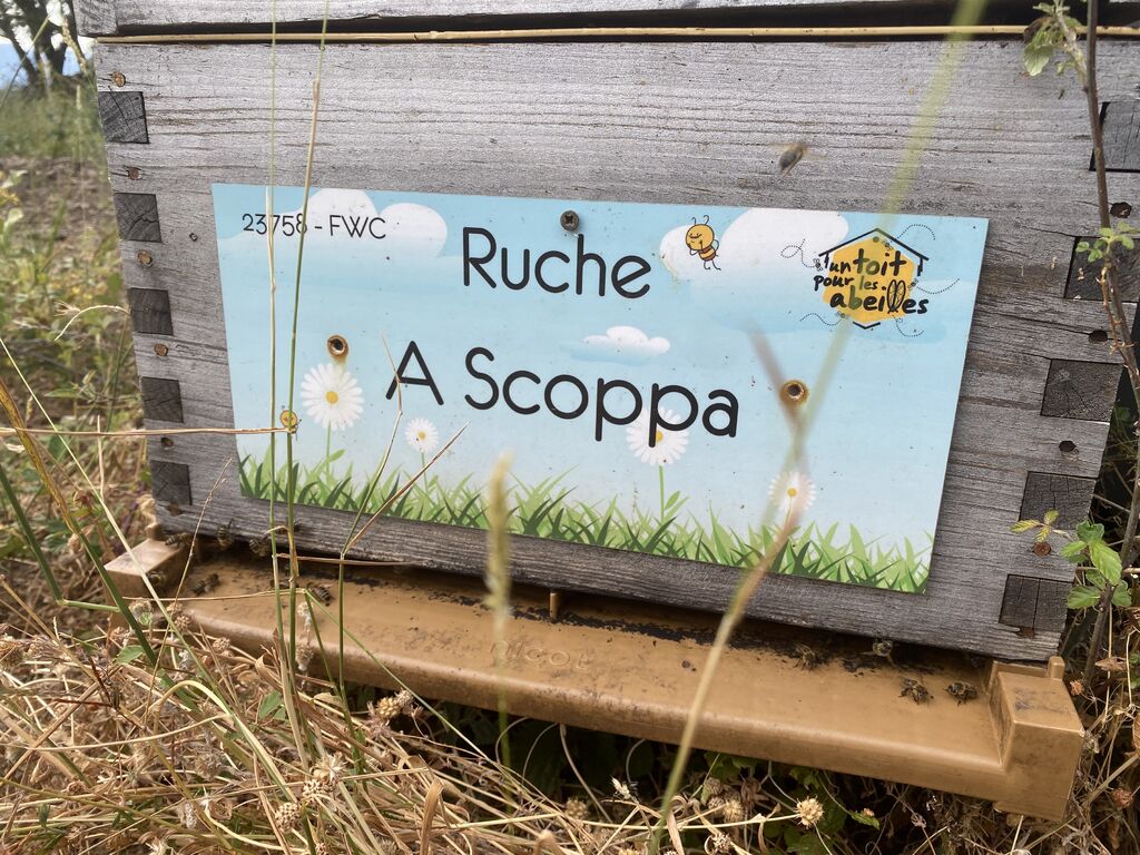 La ruche A Scoppa