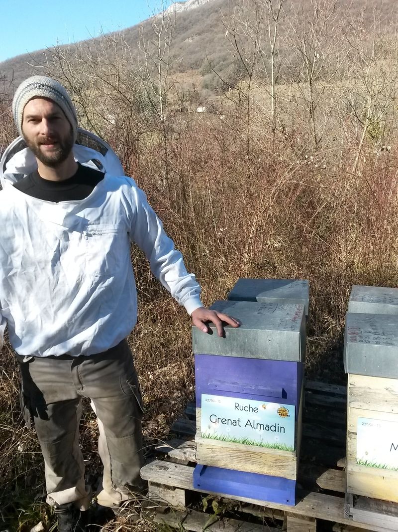 La ruche Grenat Almadin
