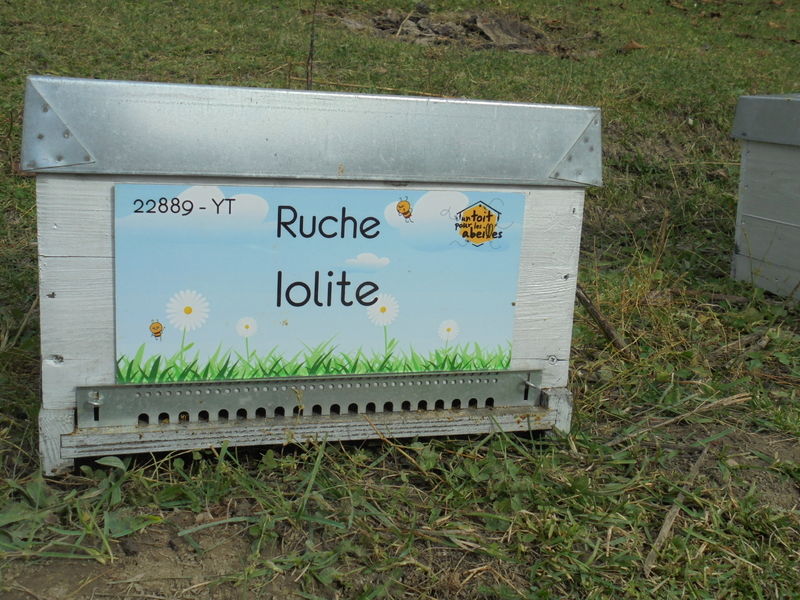 La ruche