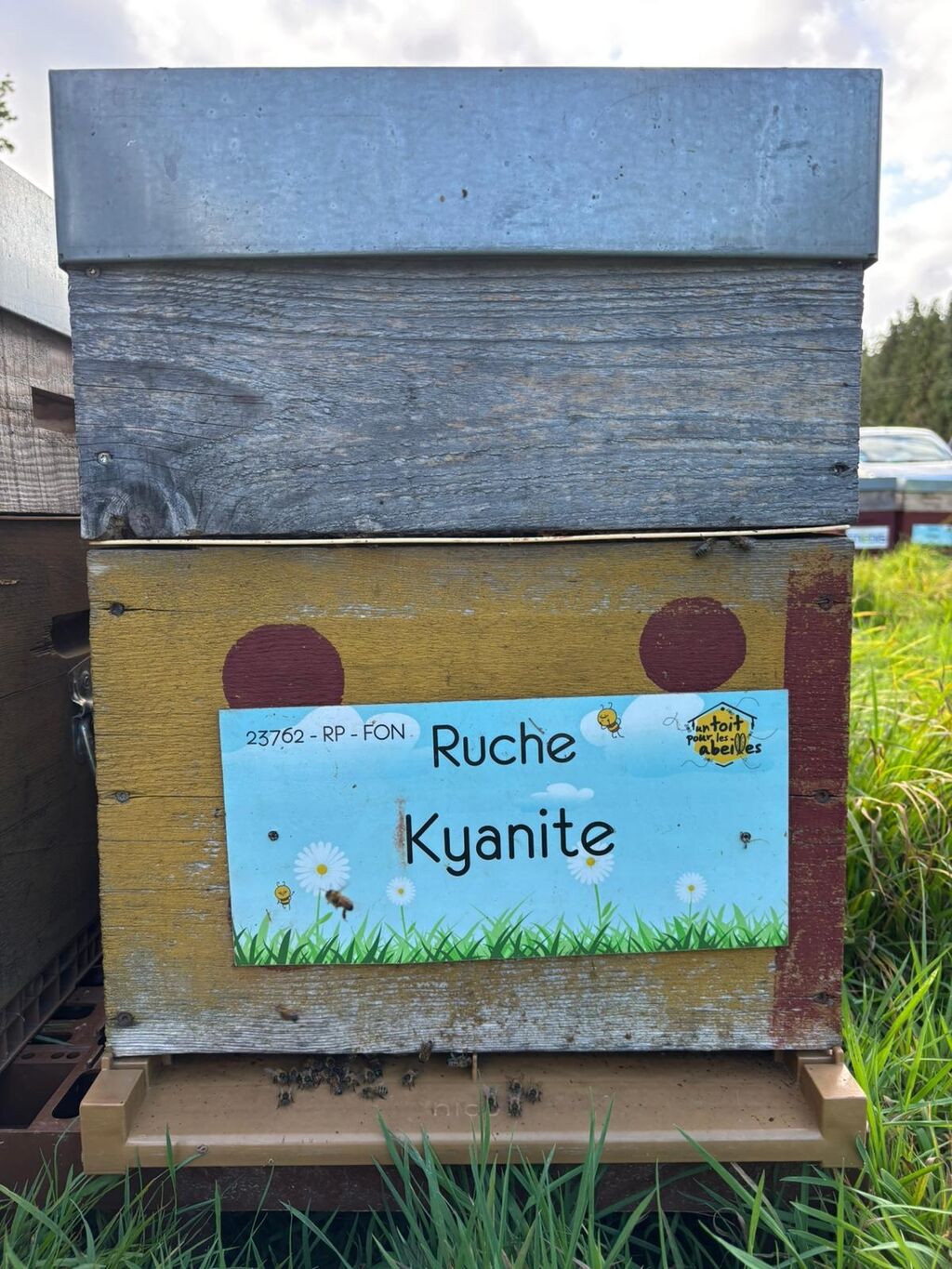 La ruche Kyanite