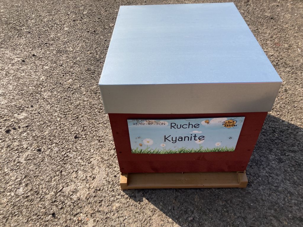 La ruche Kyanite