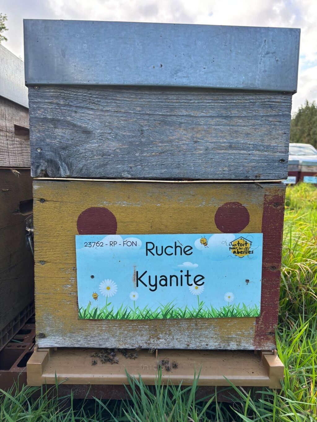 La ruche Kyanite