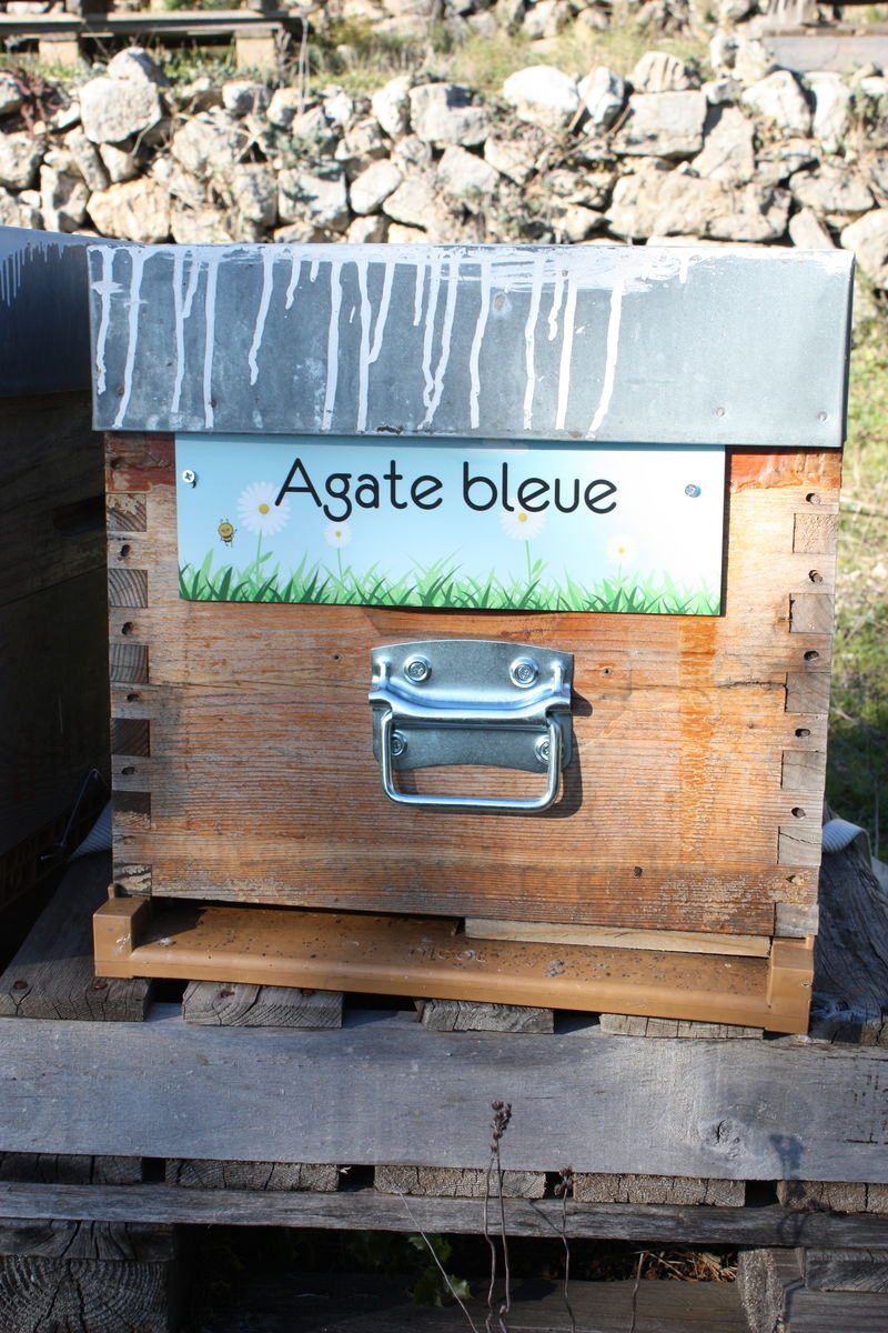 La ruche Agate bleue