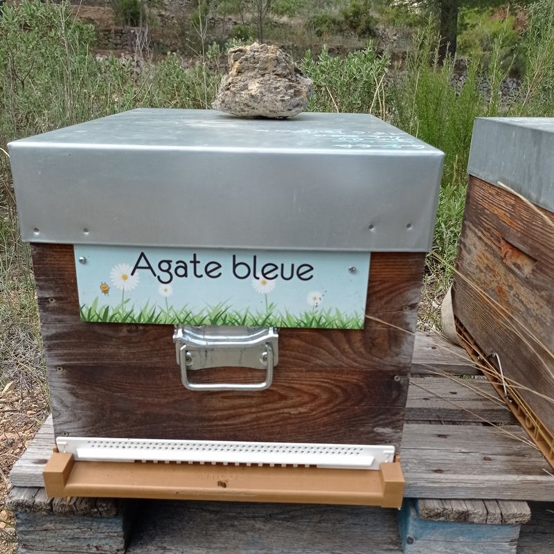 La ruche Agate bleue