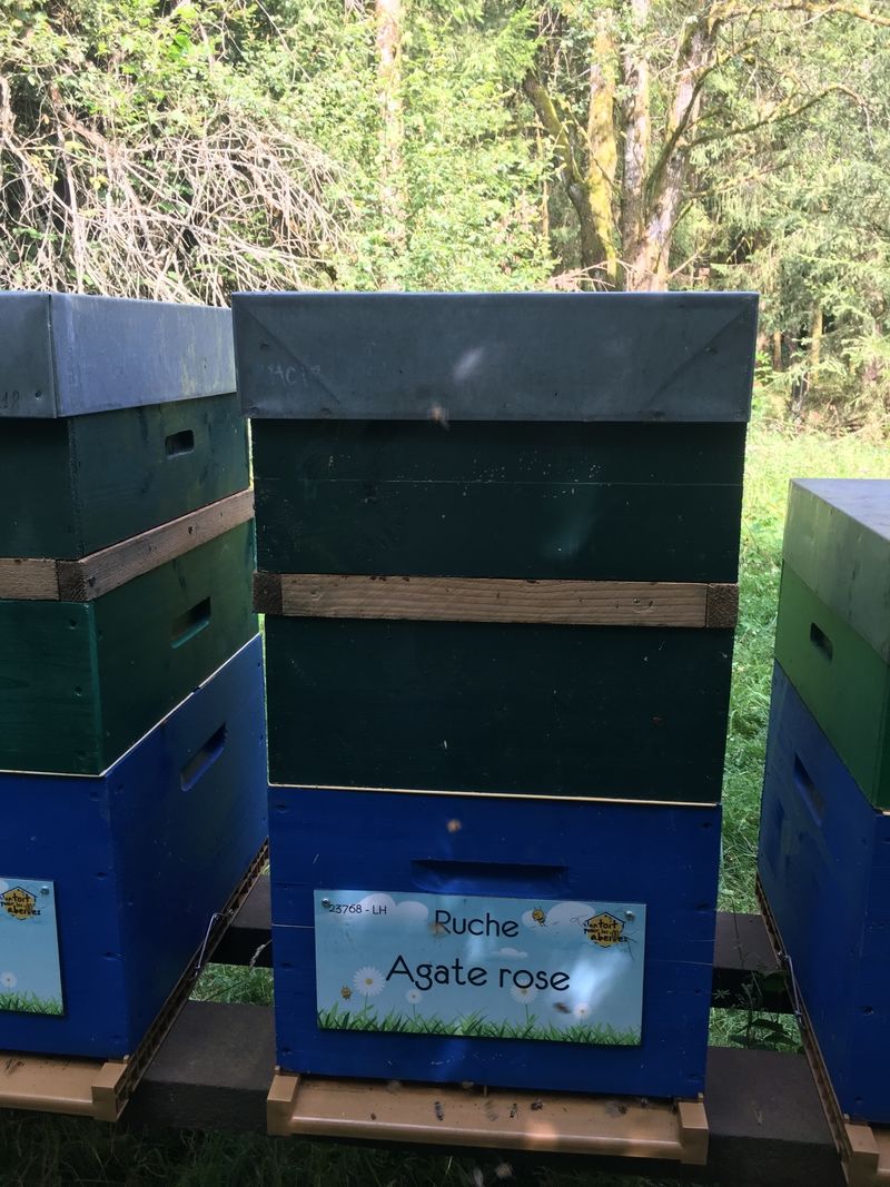 La ruche Agate rose