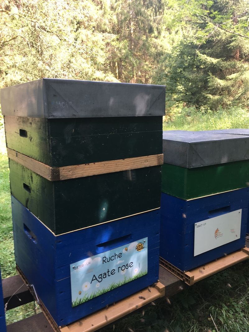 La ruche Agate rose