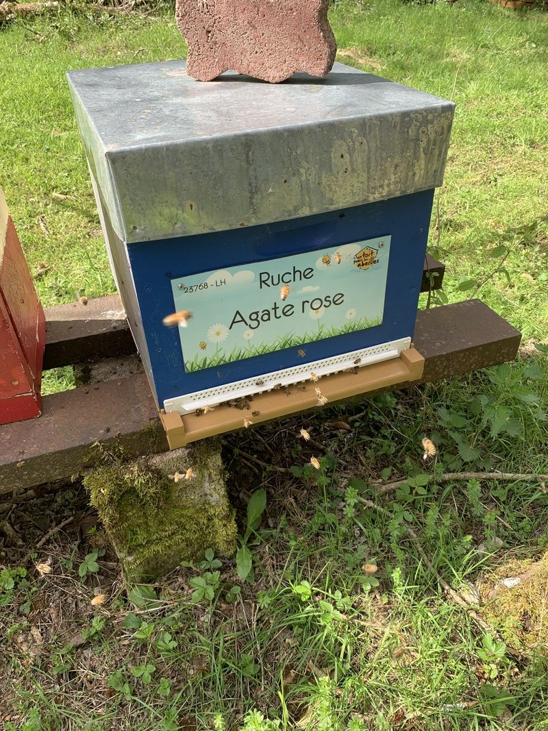 La ruche Agate rose