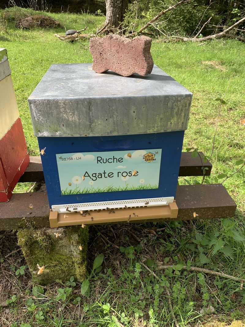 La ruche Agate rose