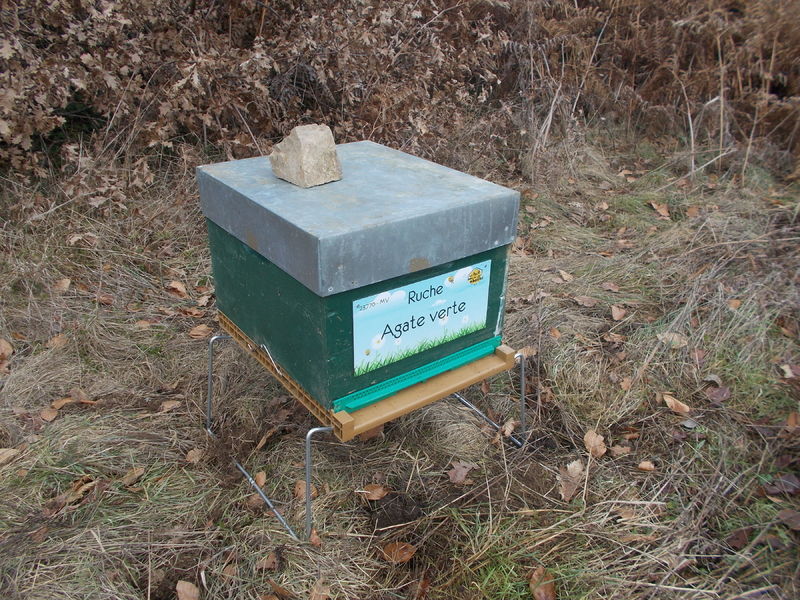 La ruche Agate verte