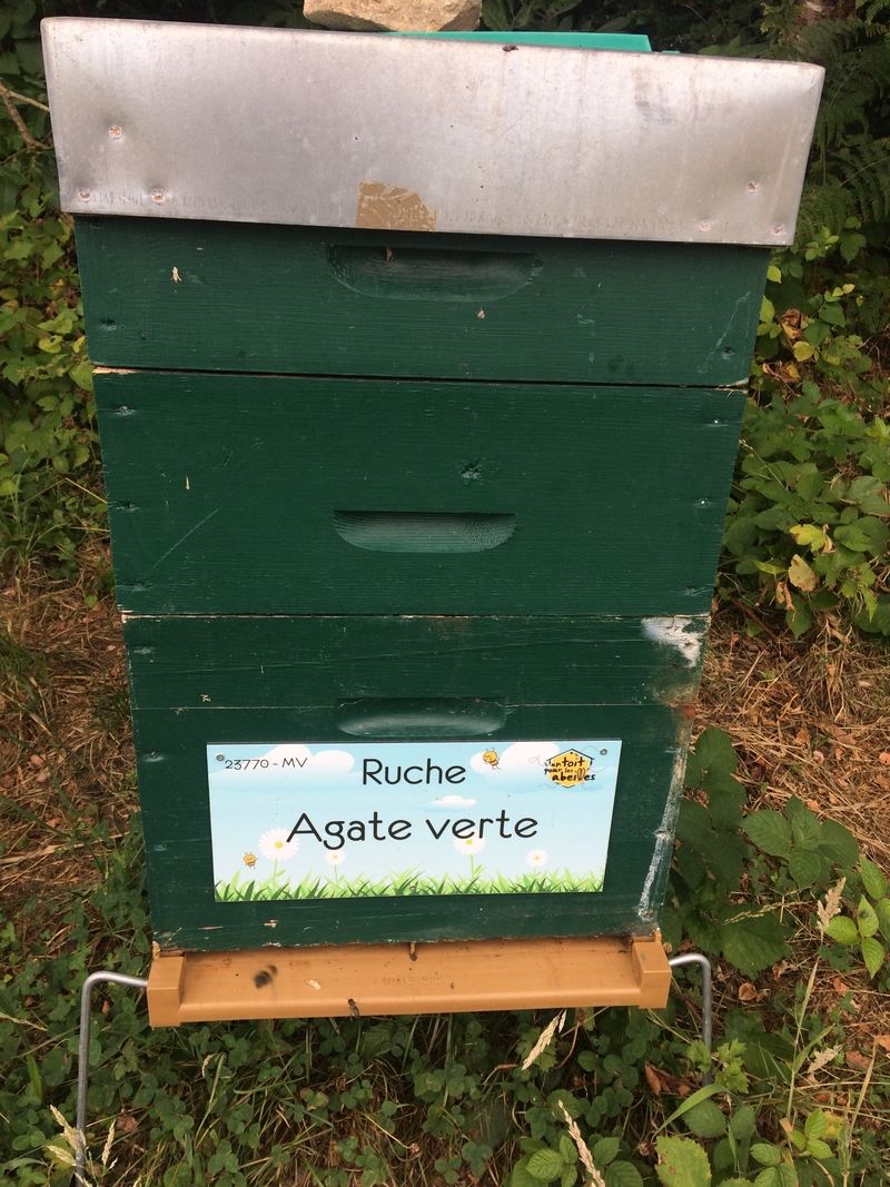 La ruche Agate verte