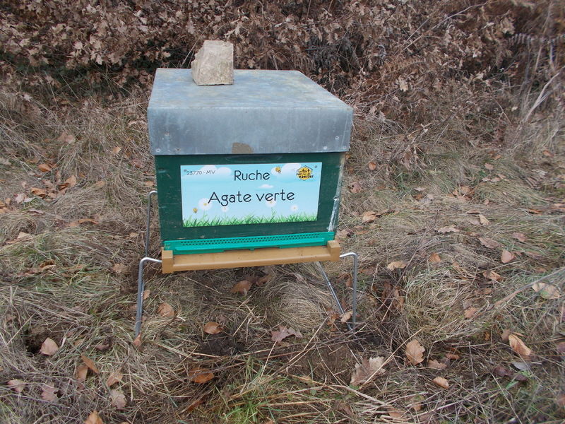 La ruche Agate verte