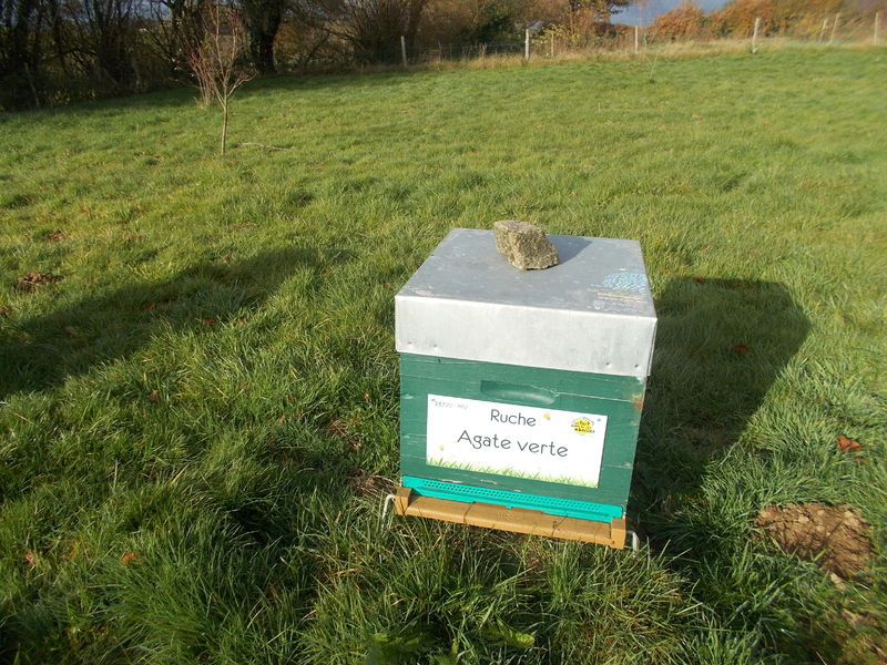 La ruche Agate verte