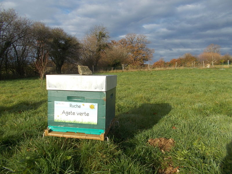 La ruche Agate verte
