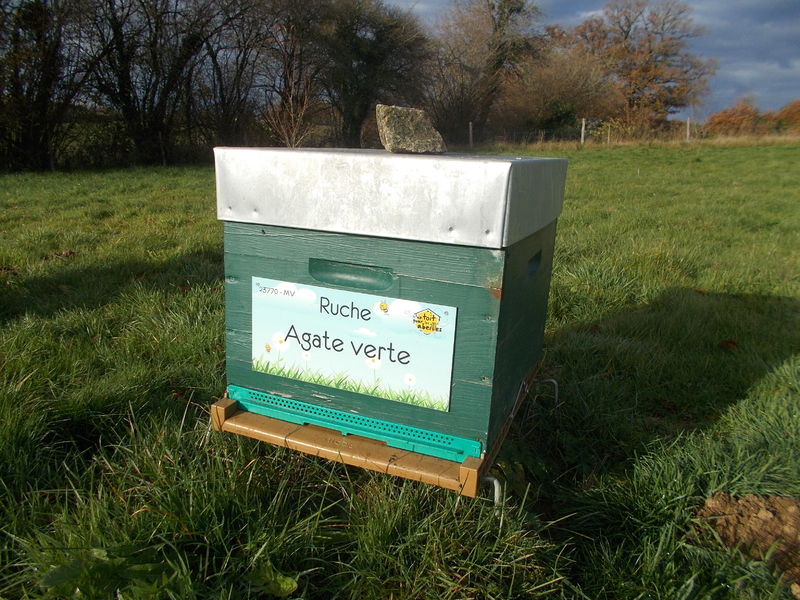 La ruche Agate verte