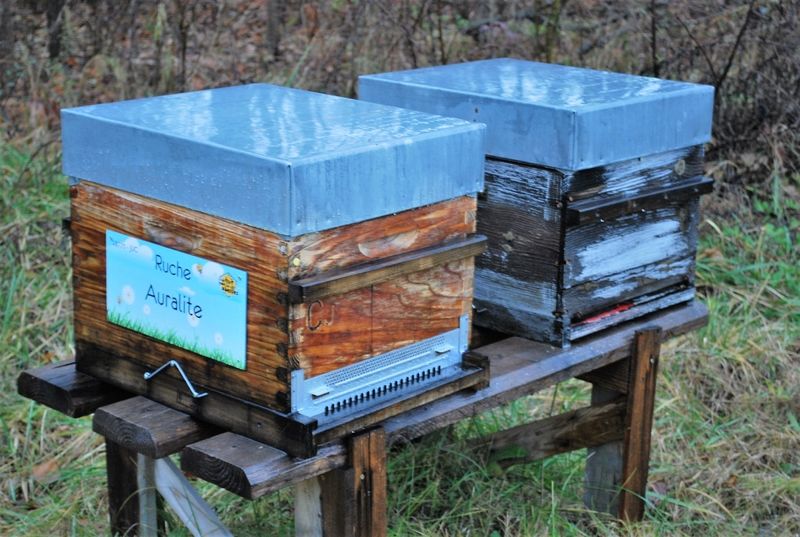 La ruche Auralite