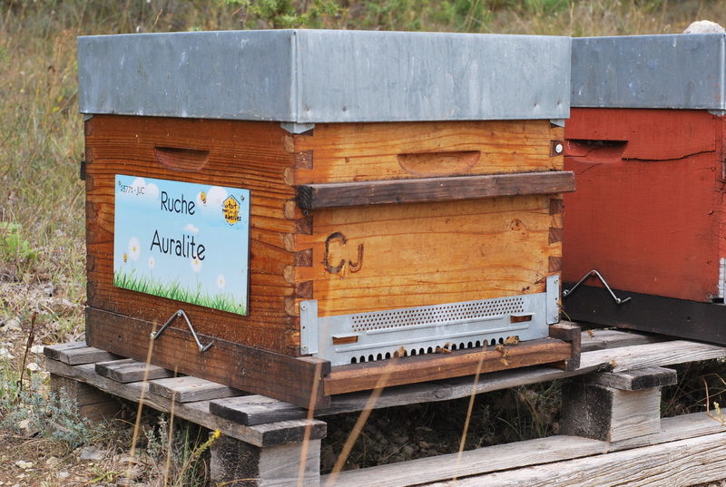 La ruche Auralite