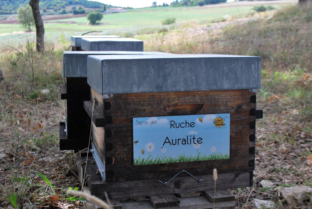 La ruche Auralite