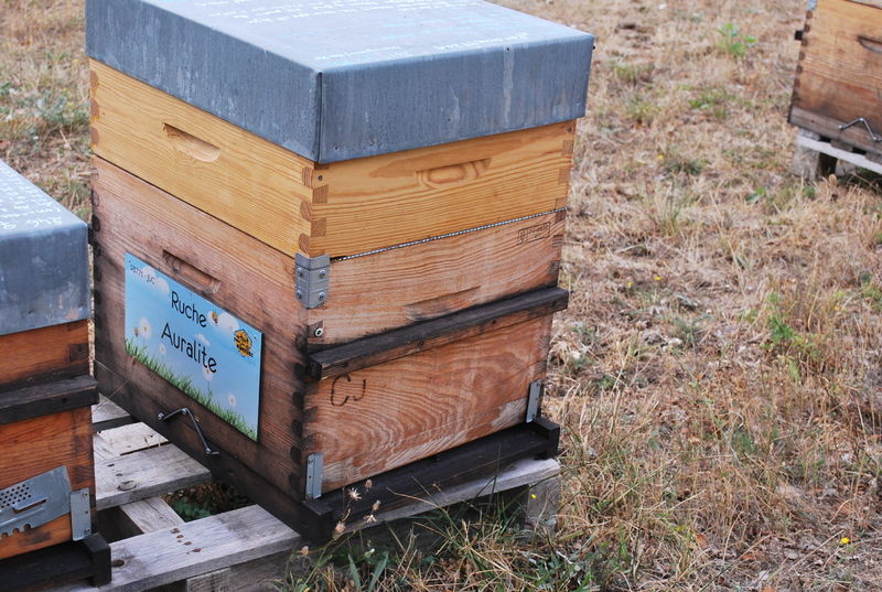 La ruche Auralite