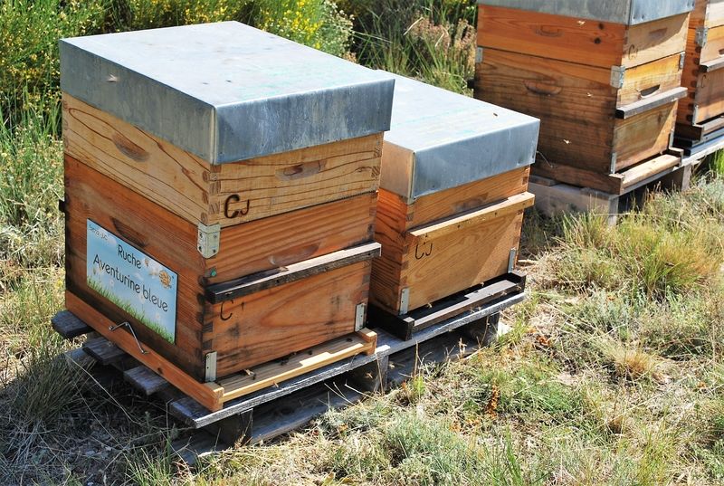 La ruche Aventurine bleue