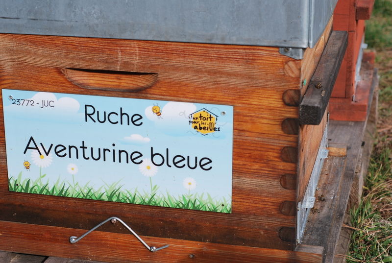 La ruche Aventurine bleue