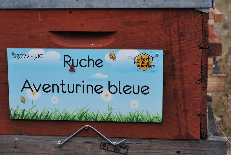 La ruche Aventurine bleue
