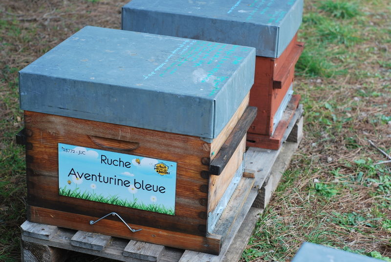 La ruche Aventurine bleue