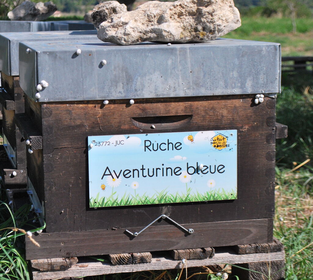 La ruche Aventurine bleue
