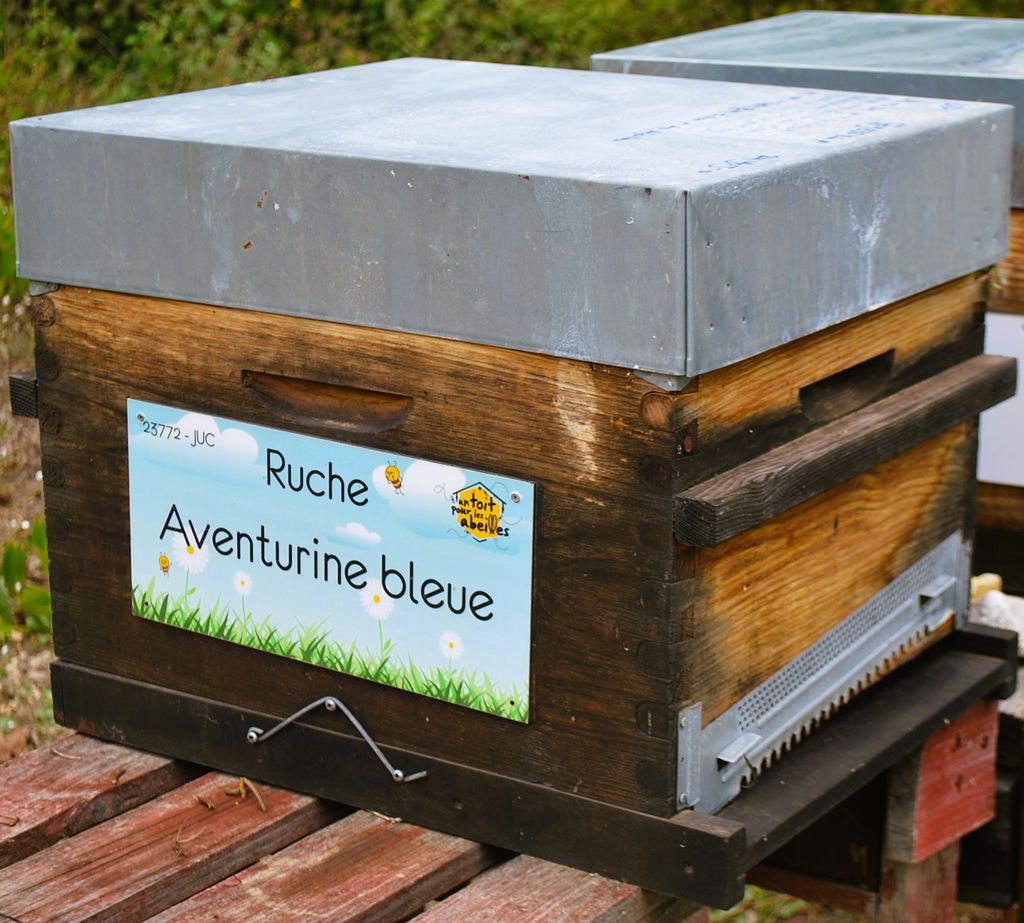 La ruche Aventurine bleue