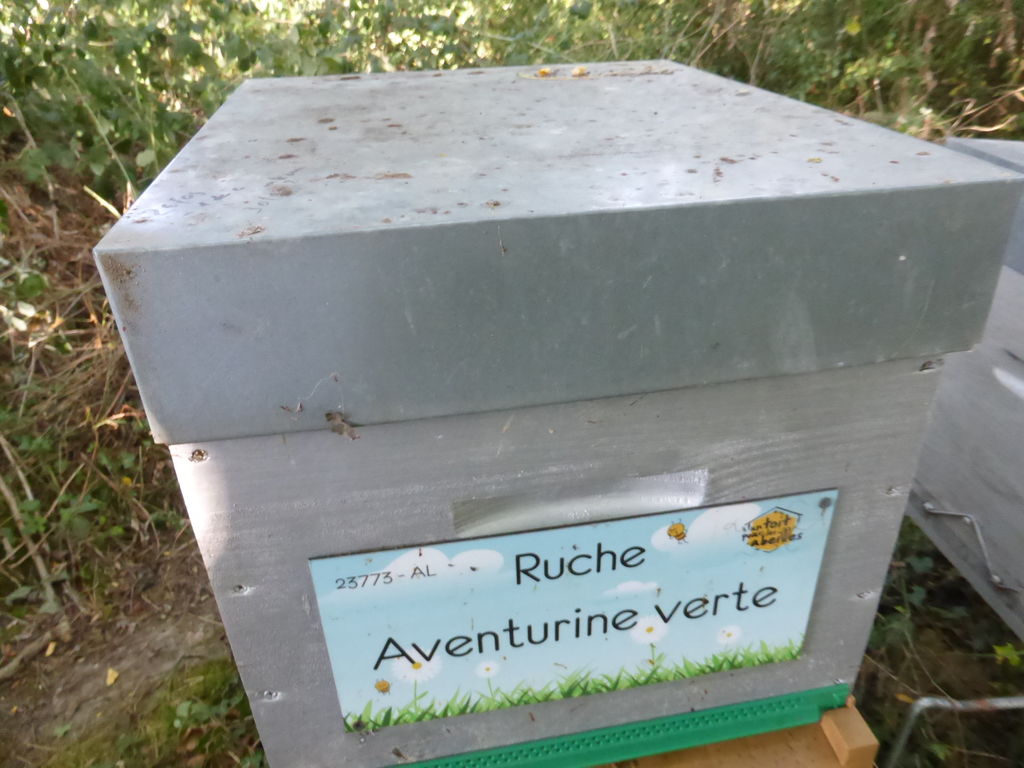 La ruche Aventurine verte