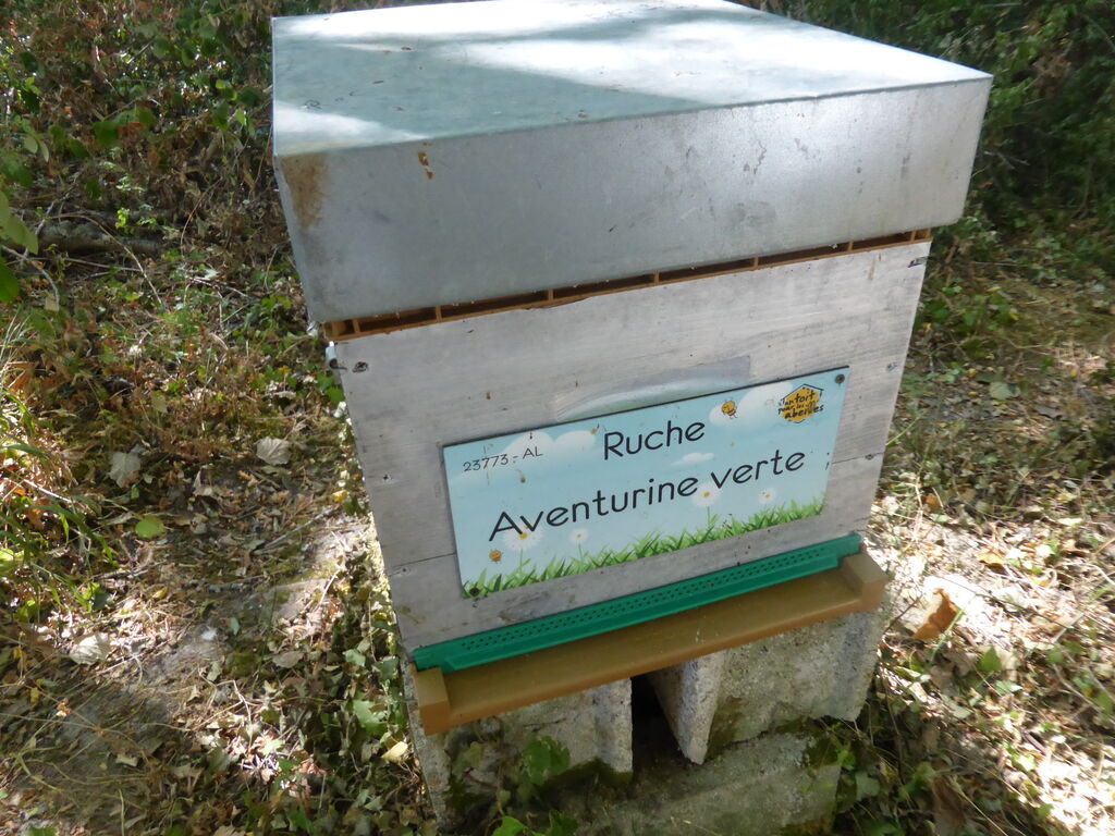 La ruche Aventurine verte