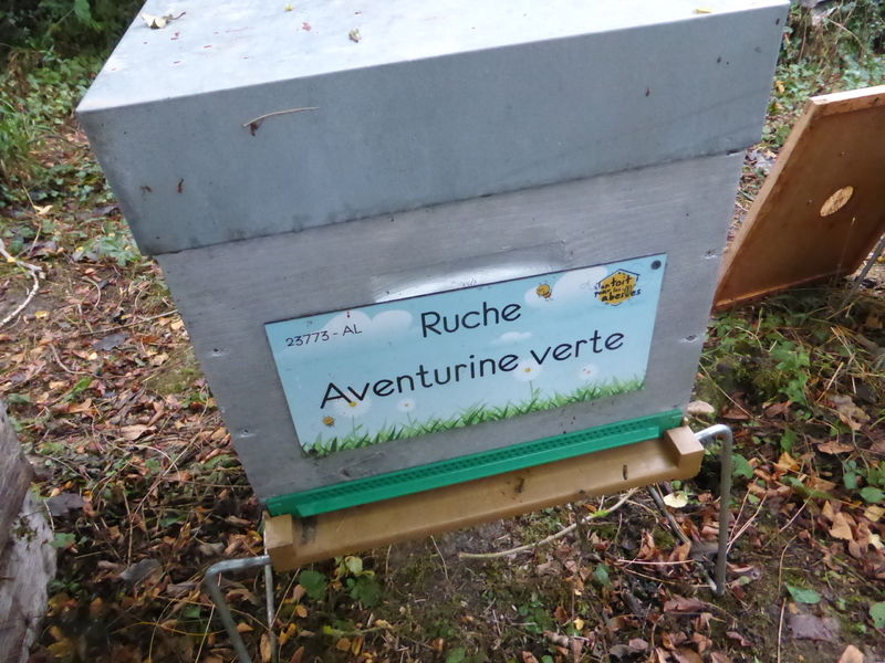 La ruche Aventurine verte