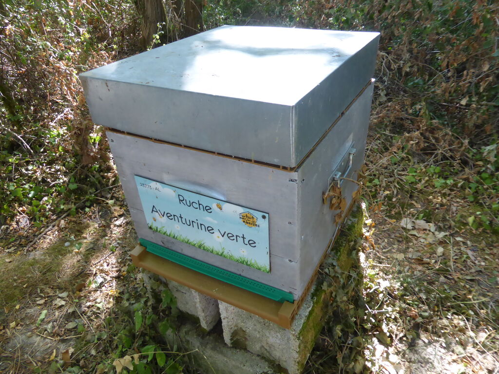 La ruche Aventurine verte