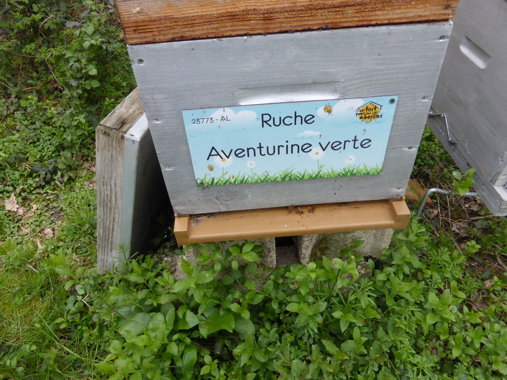 La ruche