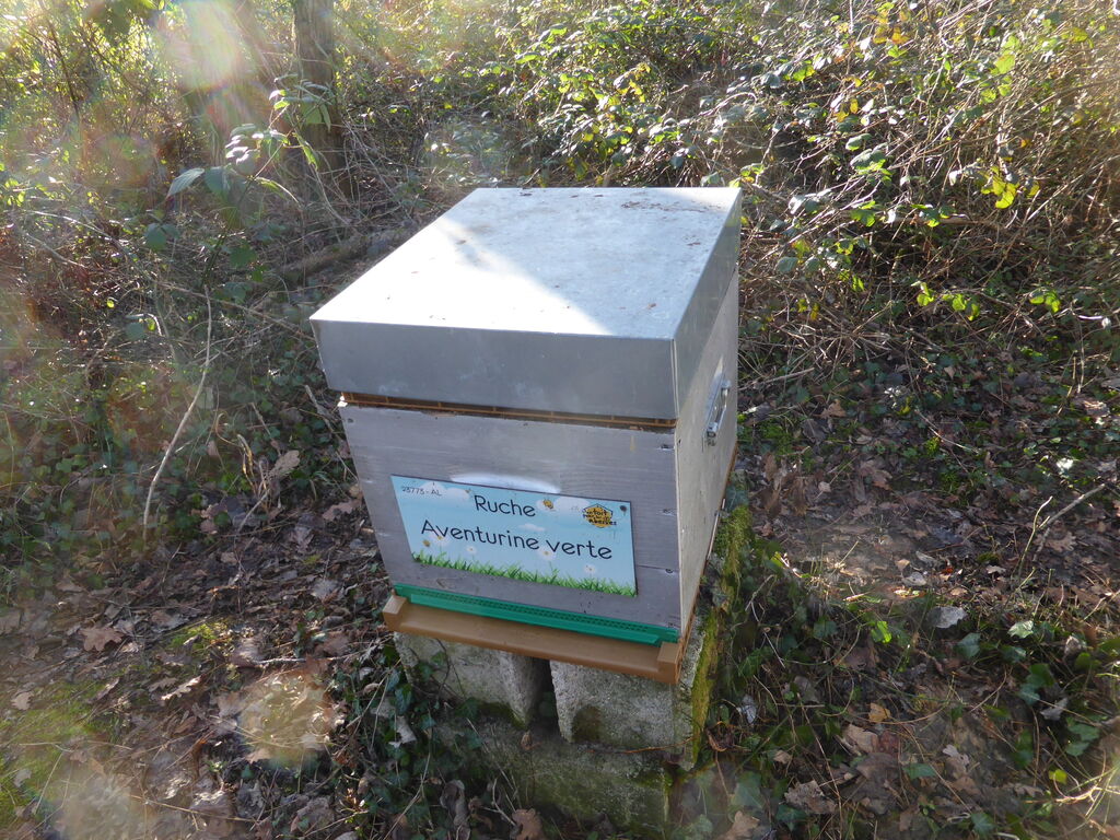 La ruche Aventurine verte