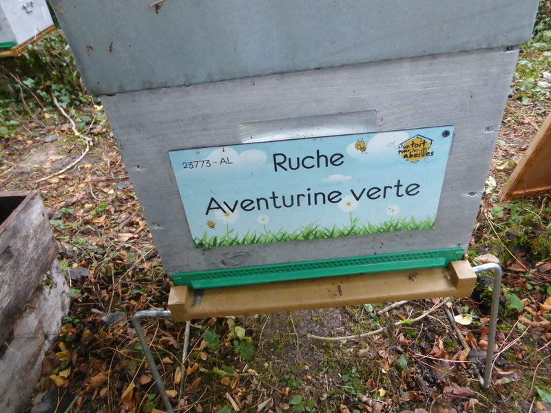 La ruche Aventurine verte