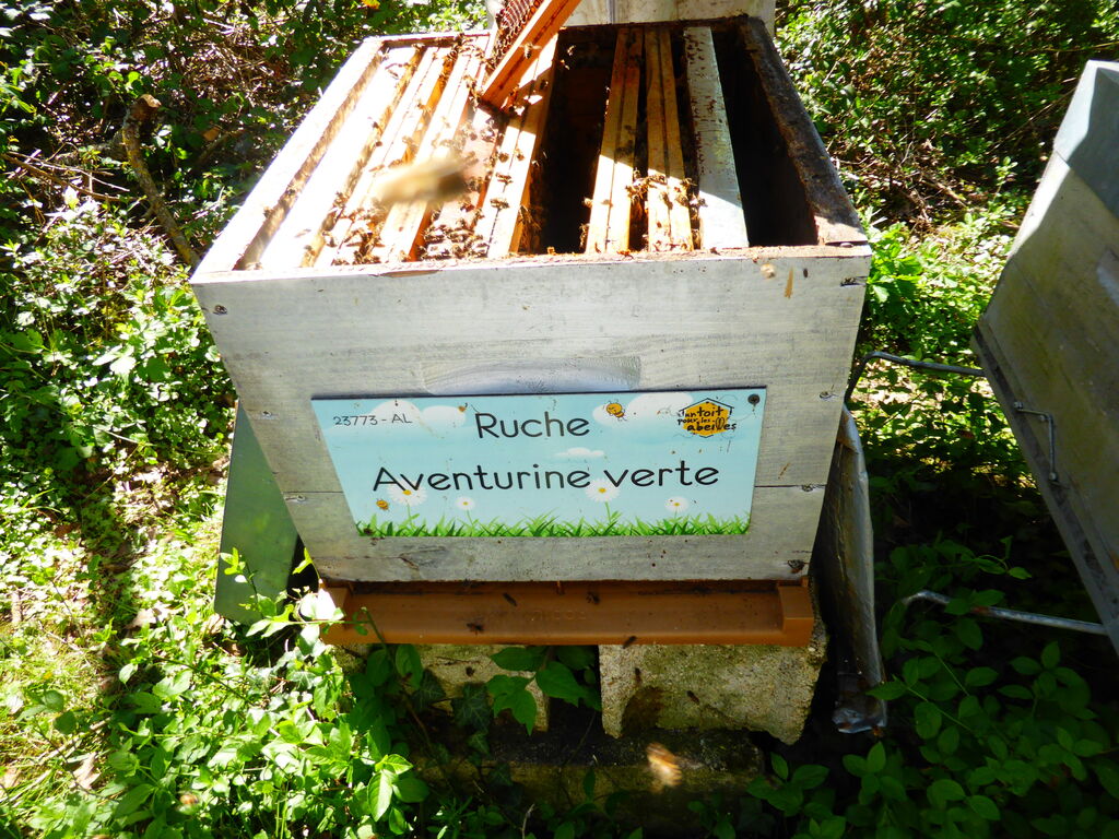 La ruche Aventurine verte