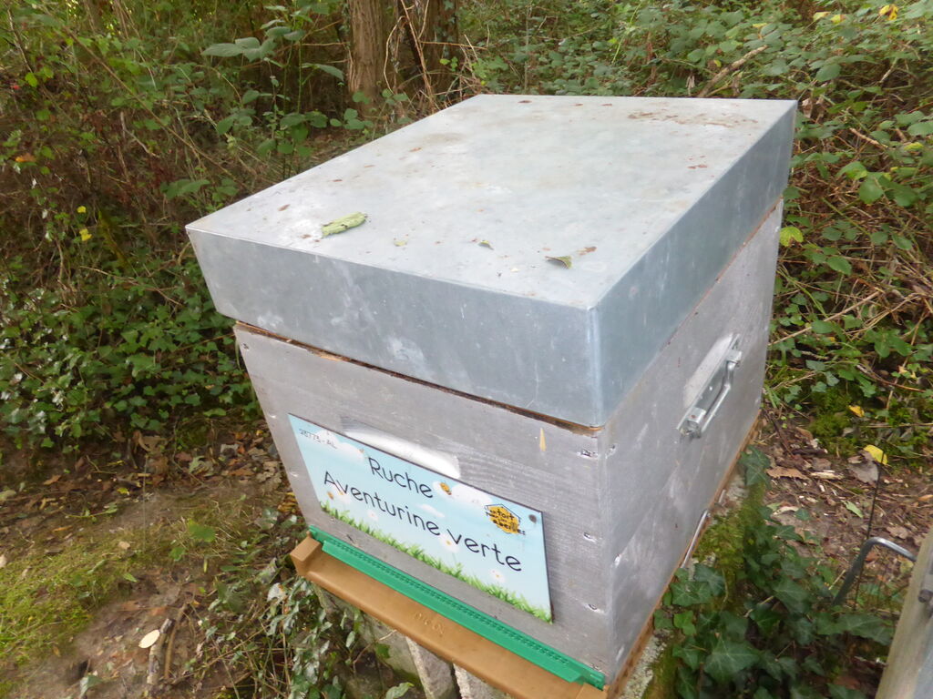 La ruche Aventurine verte