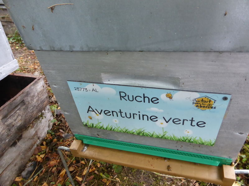 La ruche Aventurine verte