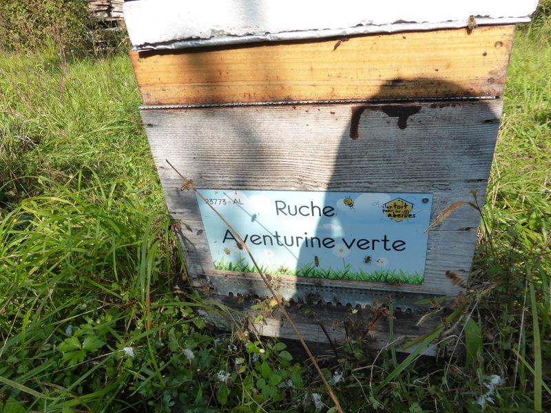 La ruche Aventurine verte