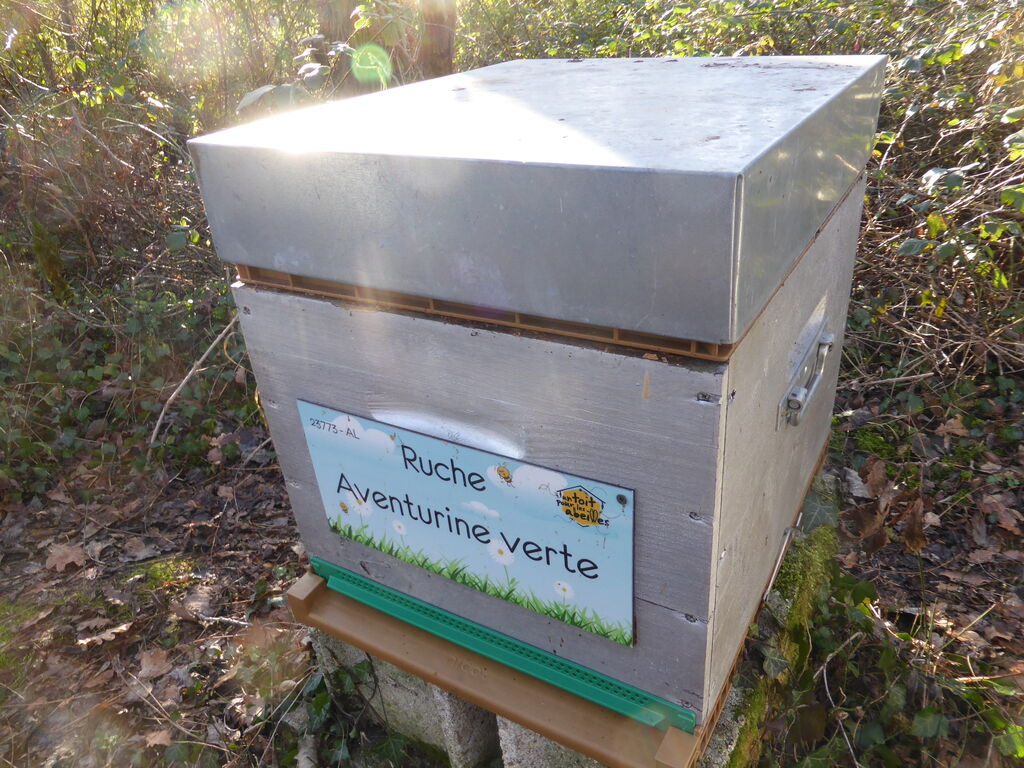 La ruche Aventurine verte