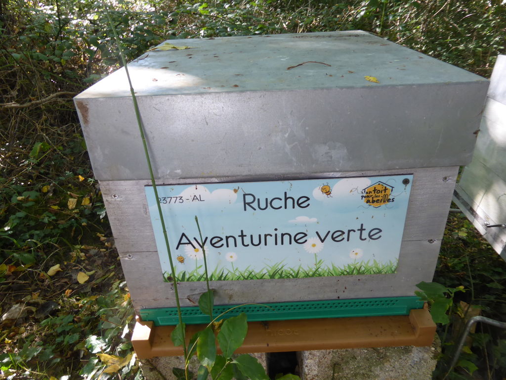 La ruche Aventurine verte